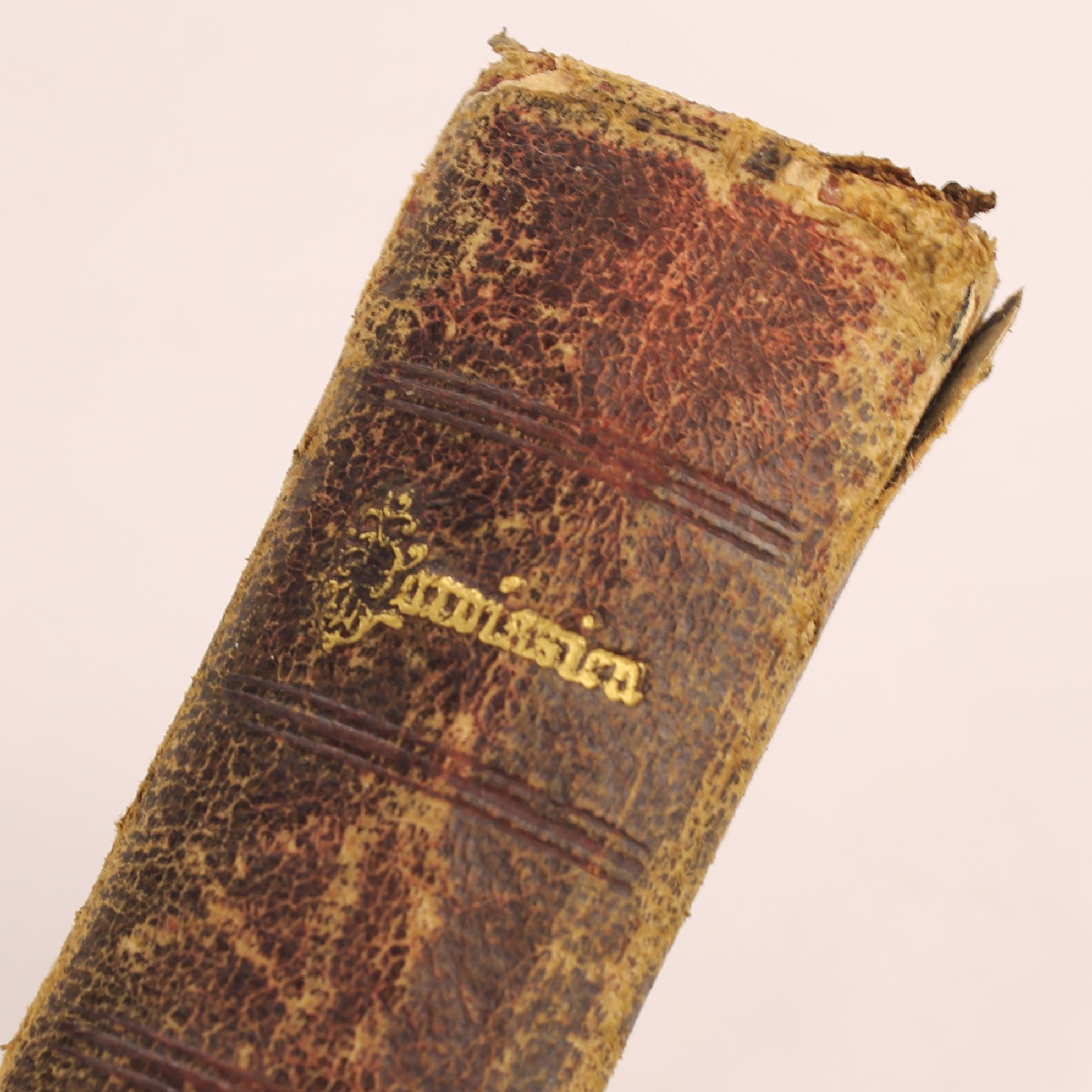 Rooms-Katholiek Missaal 'Paroissien Romain' | Limoges 1889 | Leren Band met Goudsnede