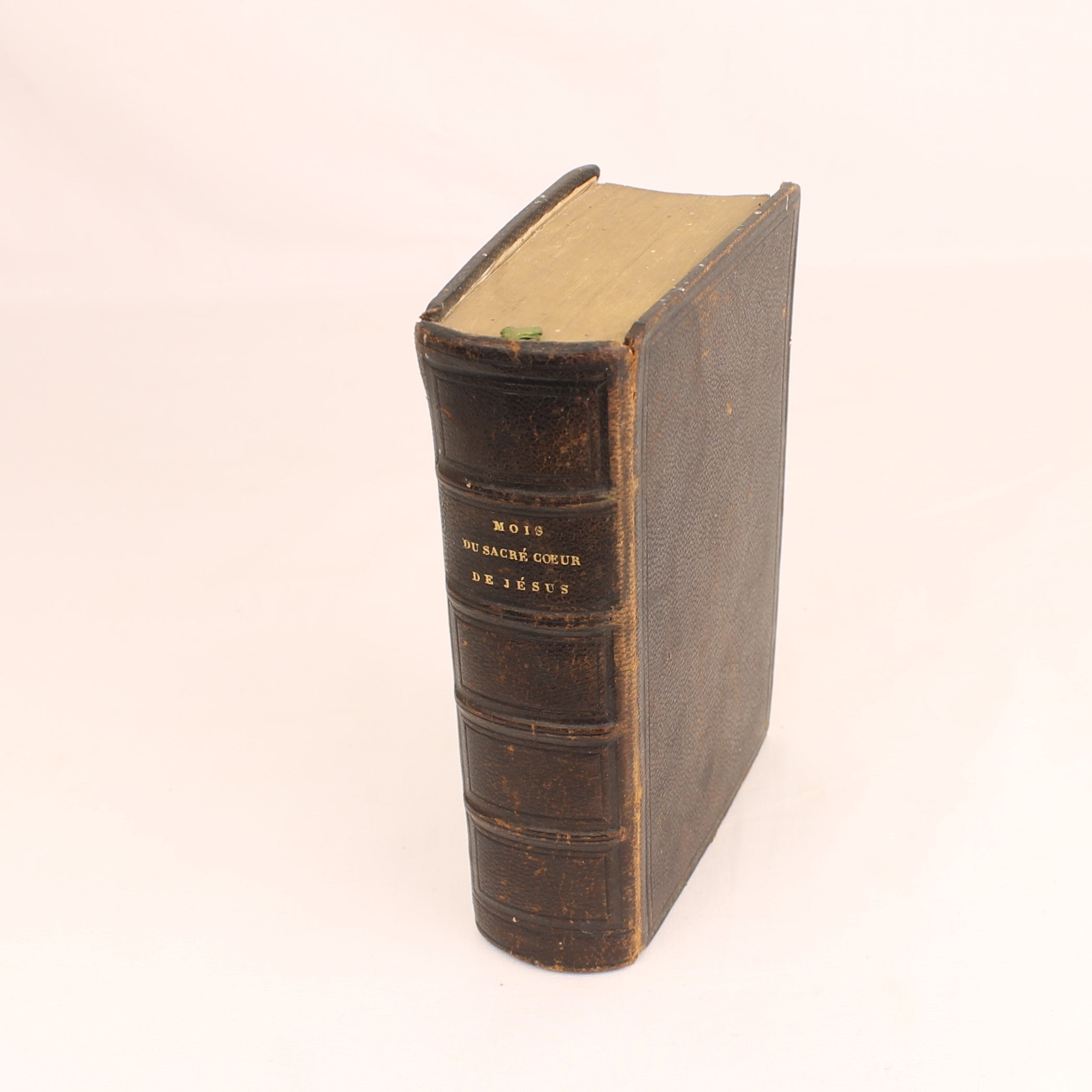 Frans Devotieboek 'Mois du Sacré Cœur de Jésus' (1850) | Leren Band | Vergulde Sneden