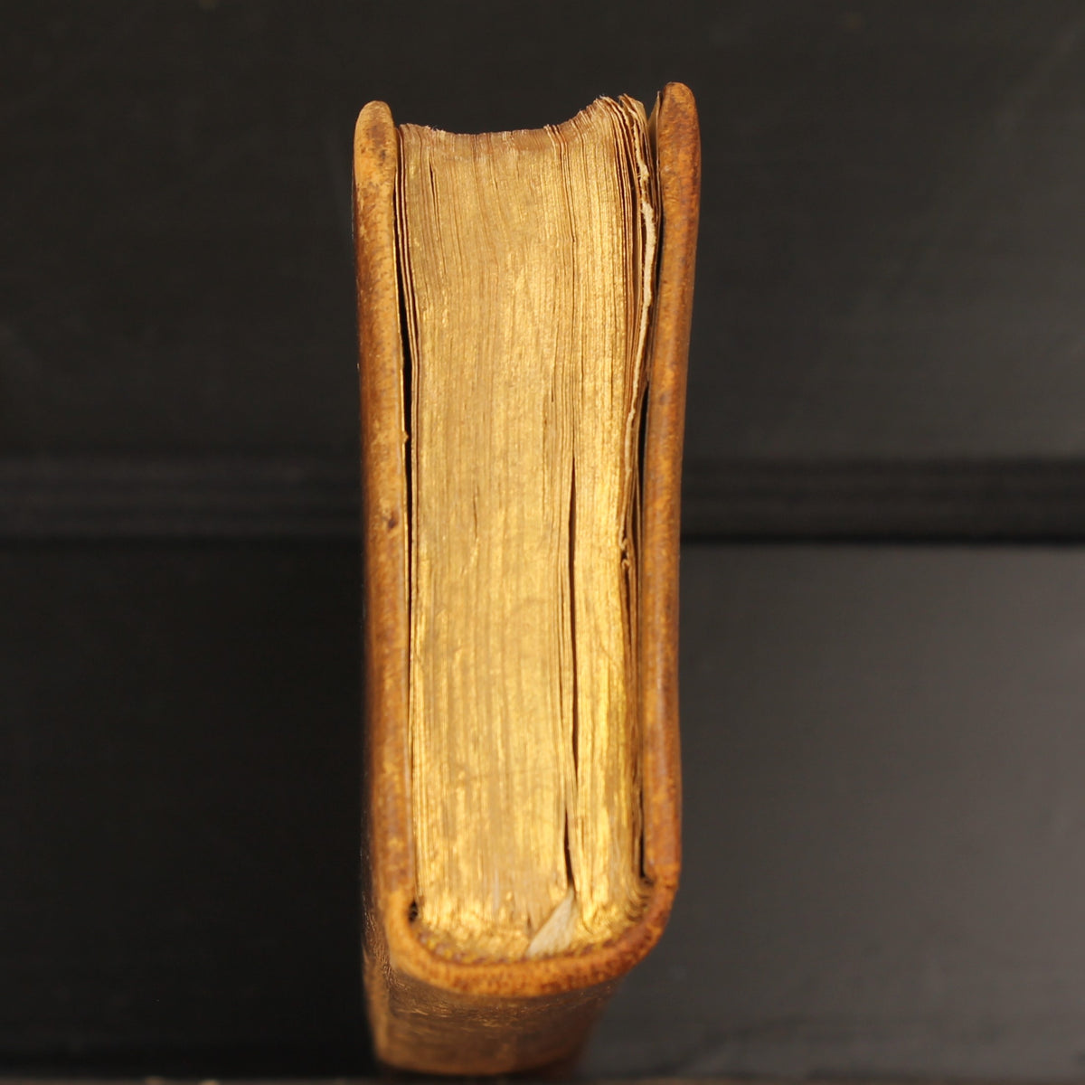 Ave Maria - Livro de Orações Antigo em Pele - Brepols Turnhout 1924