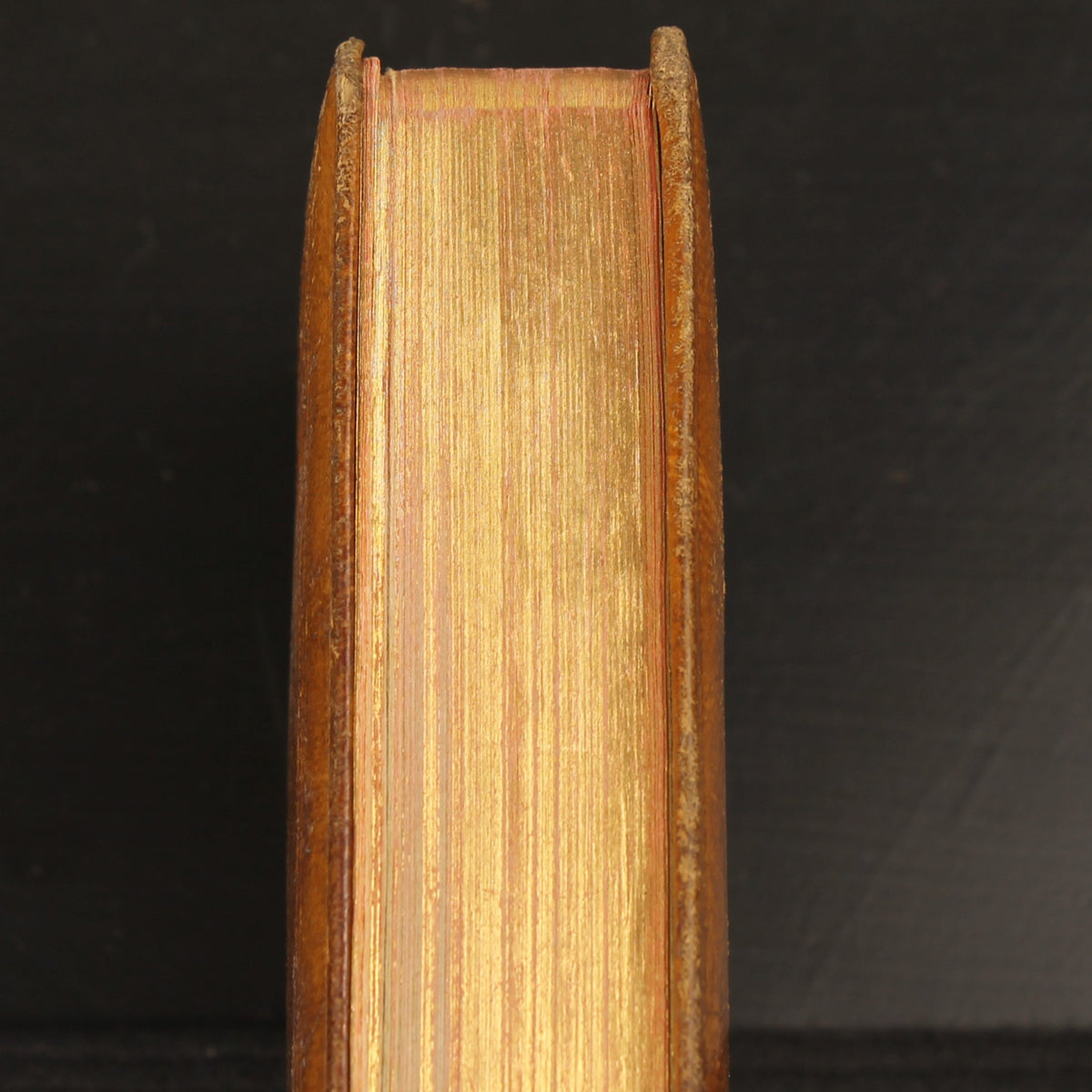 Devoto de María - Libro de oraciones - H. Bertens - ca. 1930