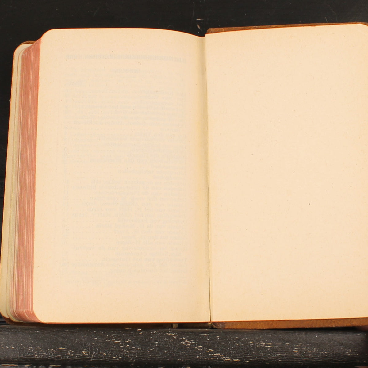 Devoto de María - Libro de oraciones - H. Bertens - ca. 1930