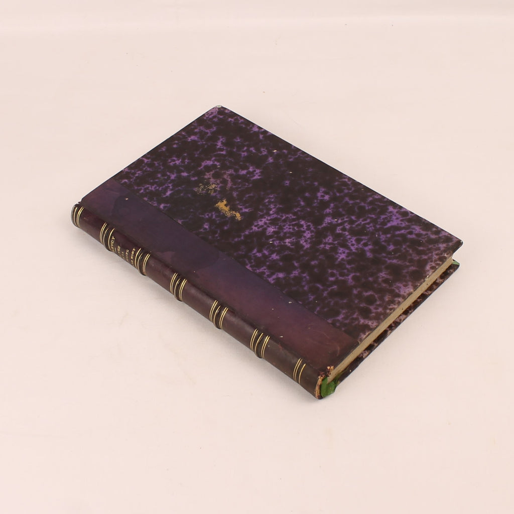 Acts of Captivity and Death - Father Armand de Ponlevoy - Antique French Book about the Paris Commune 1871
