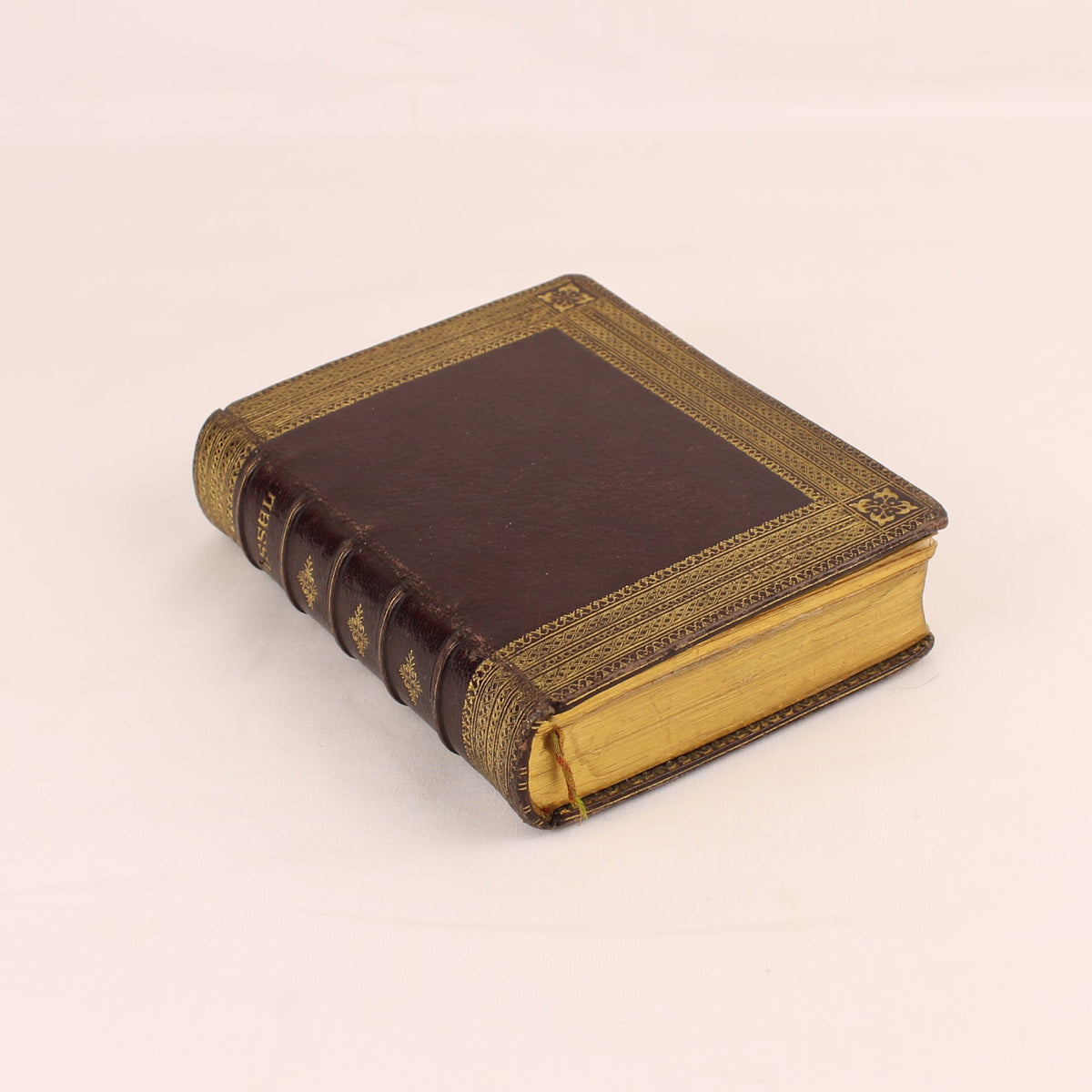 Missale von Notre-Dame | Luxuriöser Ledereinband | Antikes französisches Messbuch 1891